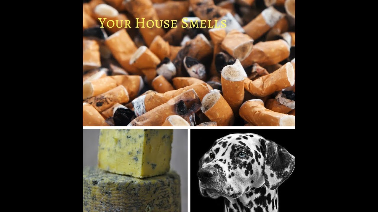 Your house smells