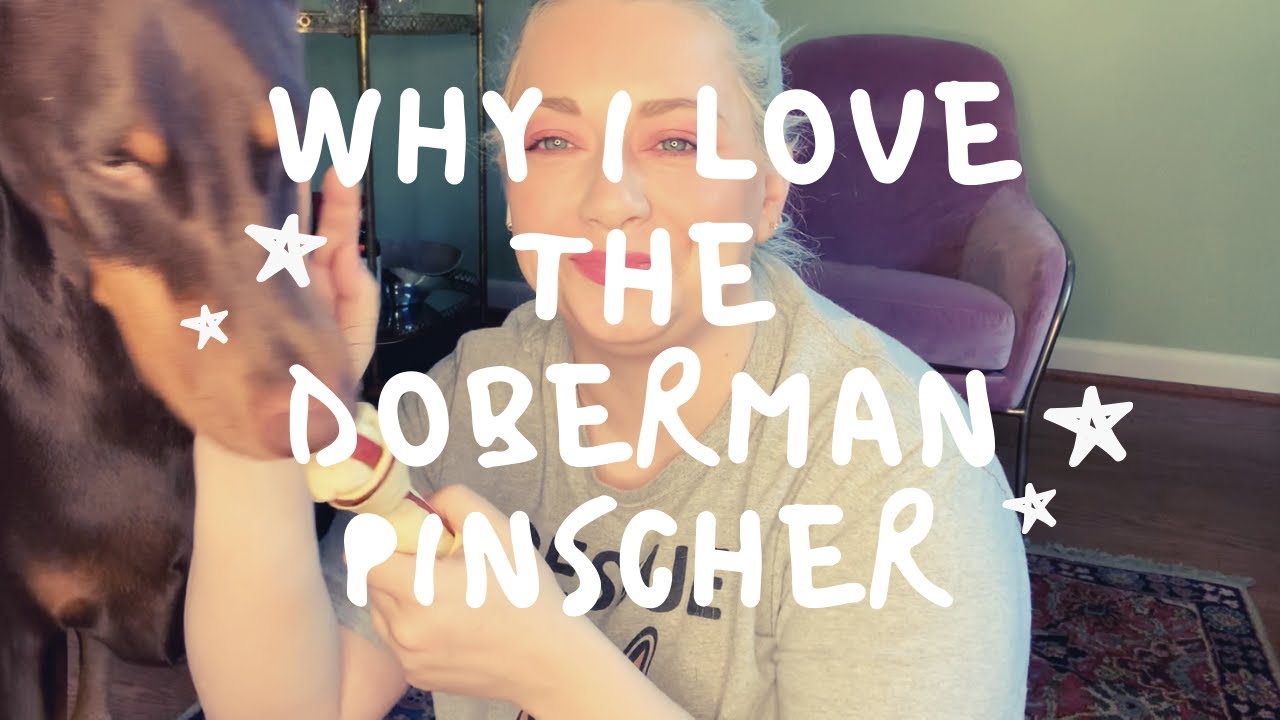 I Love the Doberman Pinscher